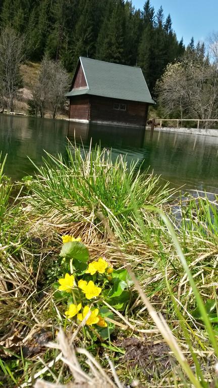 Chata Pod Certovicou Vyšná Boca Exteriör bild