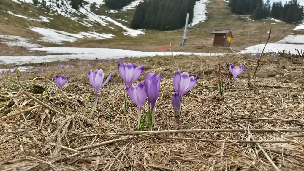 Chata Pod Certovicou Vyšná Boca Exteriör bild